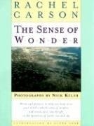 The Sense of Wonder: Stories of Work