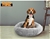 PaWz Pet Bed Dog Beds Mattress Bedding Cat Pad Mat Cushion Winter XXL Grey