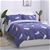 Dreamaker 250TC Egyptian Cotton Printed Quilt Cover Set Double Bed Feathers