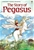 Story of Pegasus