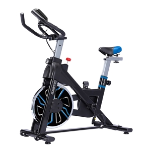 PowerTrain RX-600 Exercise Spin Bike Car