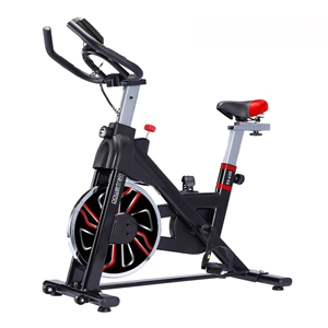 Powertrain RX-600 Exercise Spin Bike Car