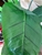 150cm Faux Artificial Home Decor Potted Bird of Paradise Plant