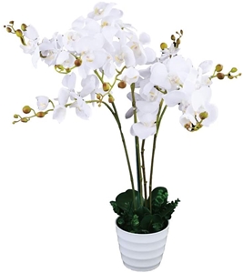 Artificial Orchid Plant w/ White Pot 75c
