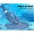 Aquabuddy Swimming Pool Cleaner Floor Climb Wall Auto Vacuum 10M Hose Navy