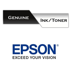 Epson Genuine 676XL BLACK High Yield Ink