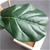 SOGA 2X 120cm Artificial Qin Yerong Tree Fake Plant Simulation Décor