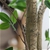 SOGA 2X 120cm Artificial Indoor Watercress Tree Fake Plant Simulation