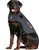 THUNDERSHIRTs Dog Calming and Anxiety Jacket, Size: Extra Large, Colour: He