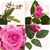 SOGA 12pcs Artificial Silk Flower Fake Rose Bouquet Table Decor Red
