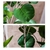 SOGA 2X 95cm Artificial Indoor Pocket Money Tree Fake Plant Simulation