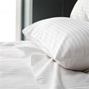 500TC Pure Cotton Sheet Set Stripe– Whit