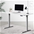 Artiss Standing Desk Adjustable Height Motorised Grey Frame White 120cm