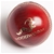 Woodworm Cricket Ball - Test Crown 4 Piece 156g