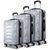 Wanderlite 3pc Luggage Travel Sets Suitcase Trolley TSA Lock Silver