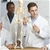 Anatomical 85cm Tall Human Skeleton w/ Flexible Spine Model