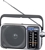 PANASONIC Portable AM/FM Radio, Silver. Model RF-2400 DGN-S. NB: Minor Use.