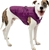 KURGO Loft Dog Jacket, Reversible Dog Coat, Deep Violet, Large.