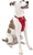 KURGO Tru-Fit Crash Tested Dog Harness, Medium, Red.