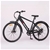 MONSTER E-City E-Bike, Variable Power Assistance, Shimano 7-Speed Gearing.