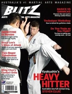 Blitz Martial Arts - 12 Month Subscripti