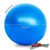 Lifespan Fitness Ball 65cm