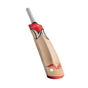 Woodworm iBat Junior Cricket Bat FLAME S
