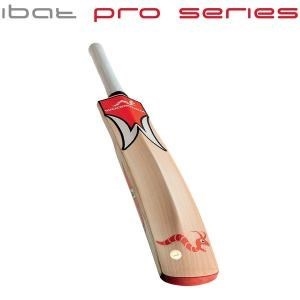 Woodworm Cricket Bat iBat Pro Series 2.1